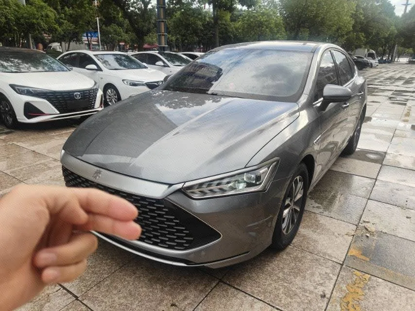 BYD 2024 Qin PLUS DM-i 1.5 CVT Glory Edition 55KM Leading Model Automatic