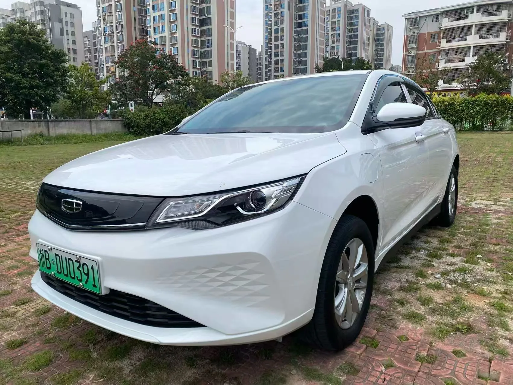 Emgrand New Energy 2022 EV Pro Ride-Hailing Edition