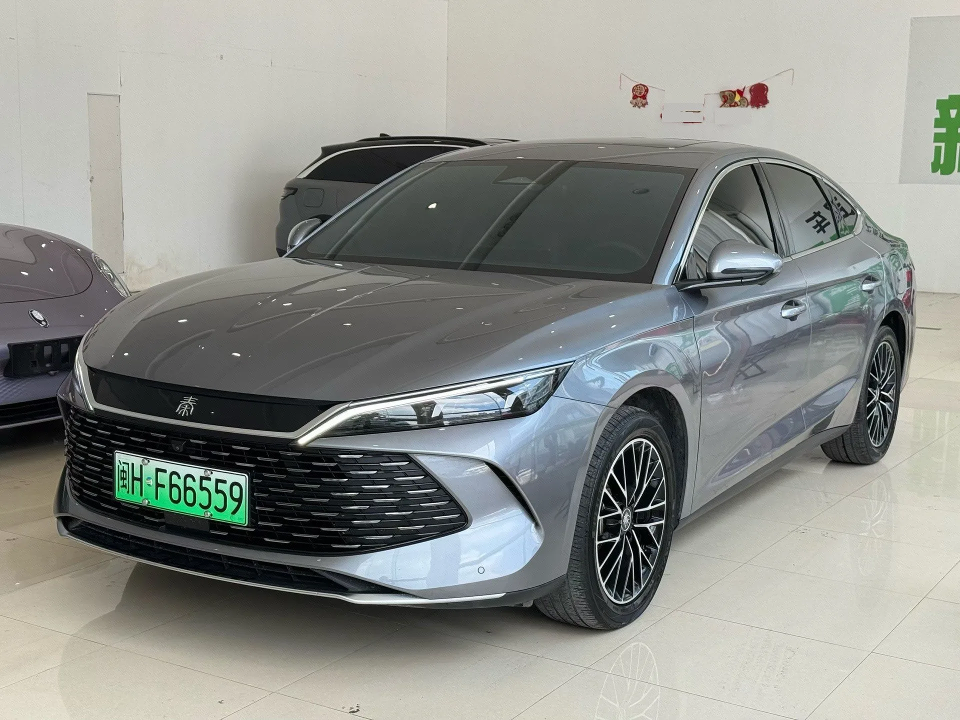 Qin L 2024 DM-i 120KM Excellent Edition