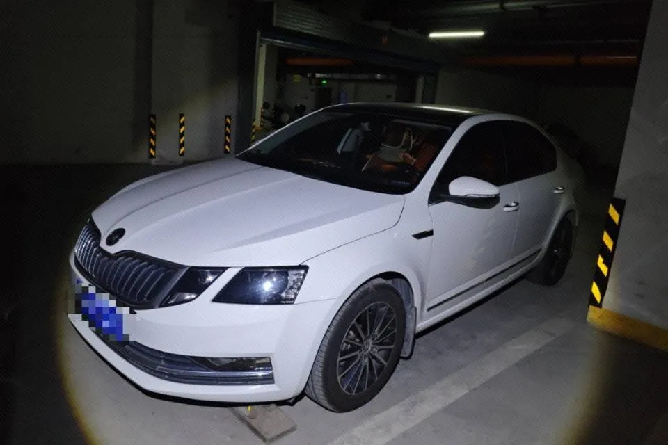 Skoda Octavia 2019 1.5L Automatic Smart Drive Luxury Edition (China V)