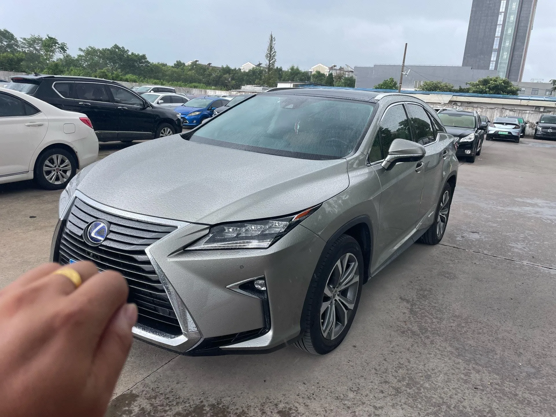 2016 Lexus RX 450h AWD Luxury Edition