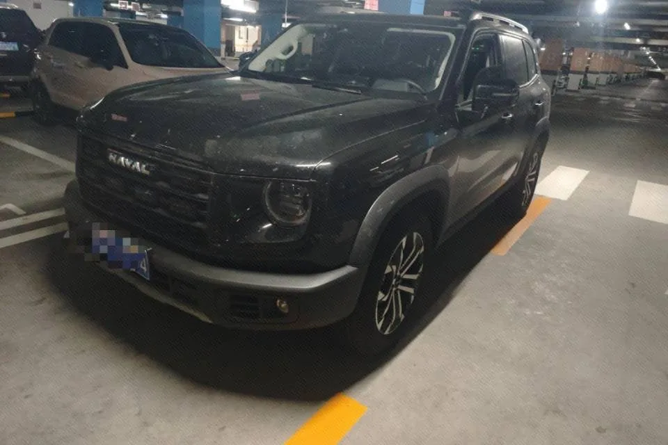 Haval 2026 Big Dog 2.0T Chinese Rural Dog Edition Automatic Transmission