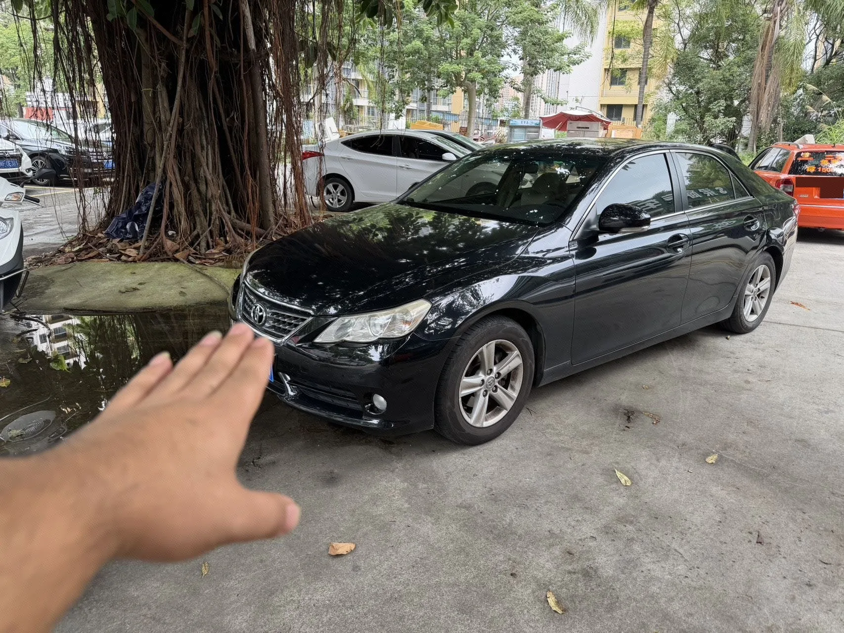 Reiz 2010 2.5V Fengdu Elite Edition