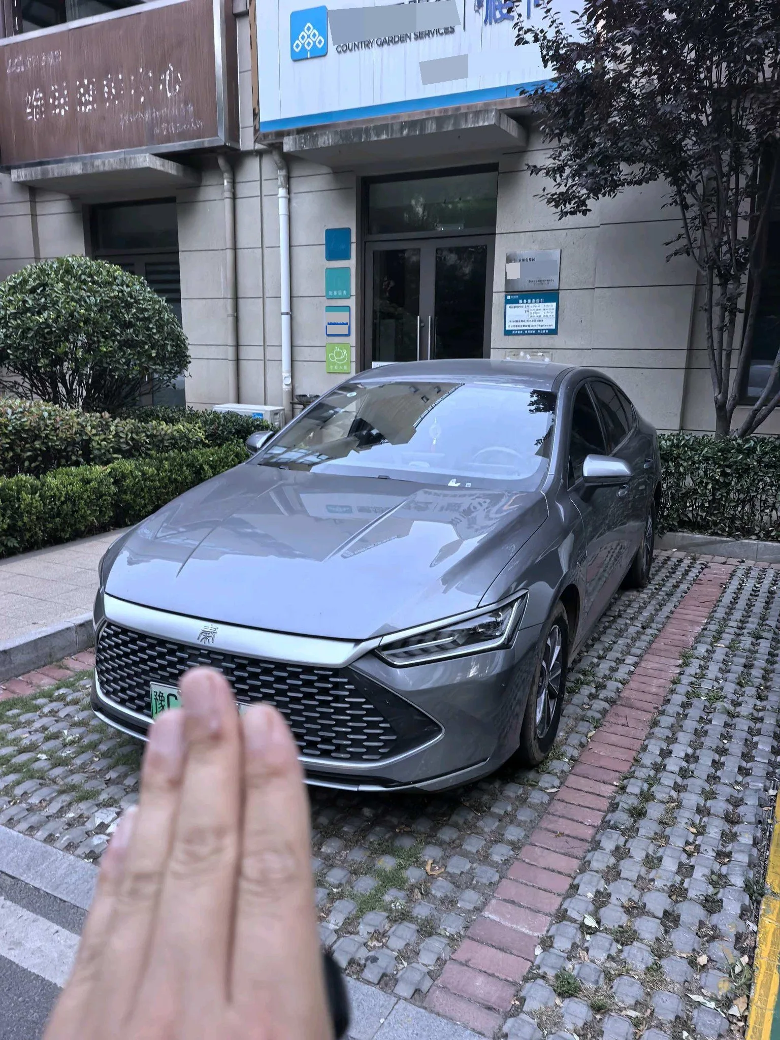 BYD 2024 Qin PLUS DM-i 1.5 CVT Glory Edition 55KM Leading Model Automatic