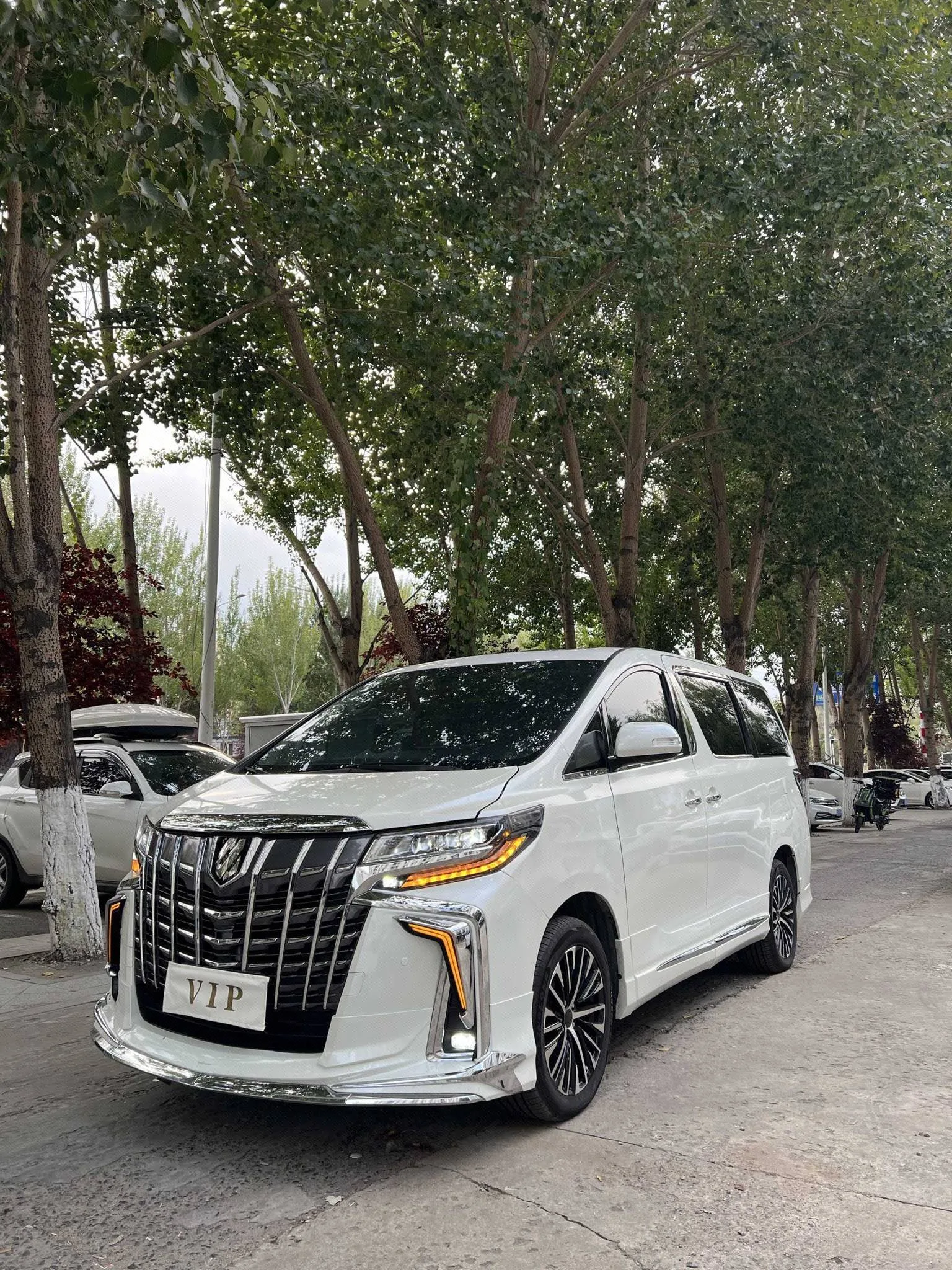 Alphard 2011 Model Year 3.5L Luxury Edition