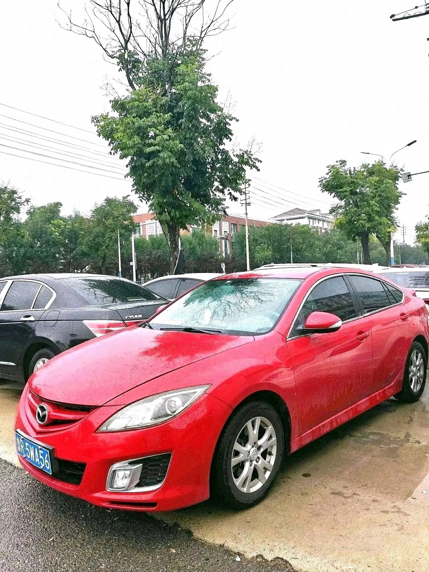 Ruiyi 2010 Coupe 2.0L Automatic Luxury Edition