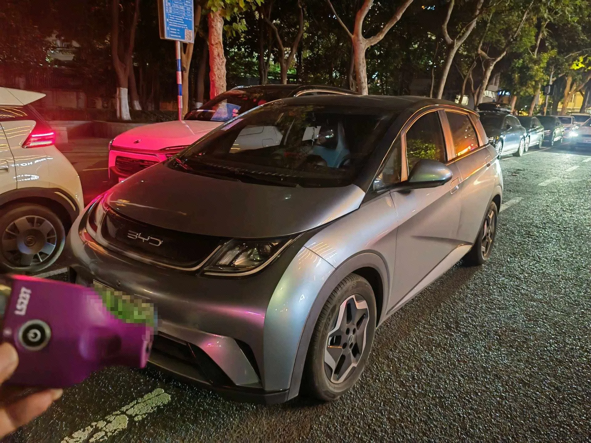 Dolphin 2021 405km Freedom Edition