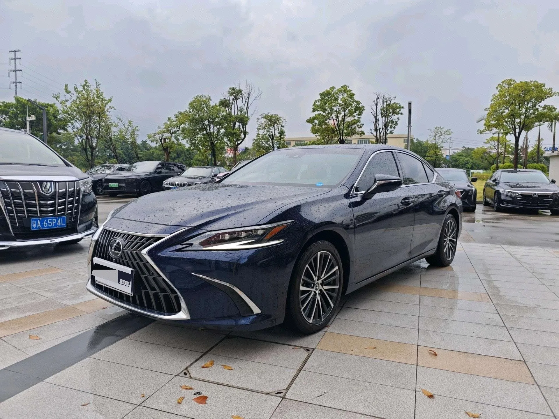 Lexus ES 2022 300h Premium Edition