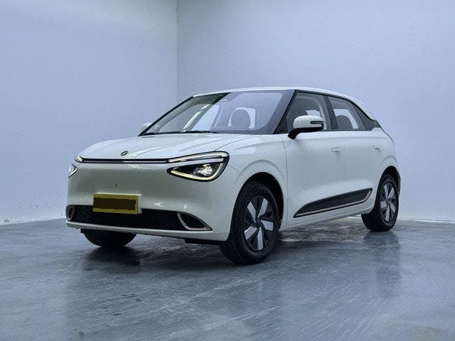 Dongfeng 2026 Nano 01 "Beloved Edition" 430 Pro Automatic Transmission