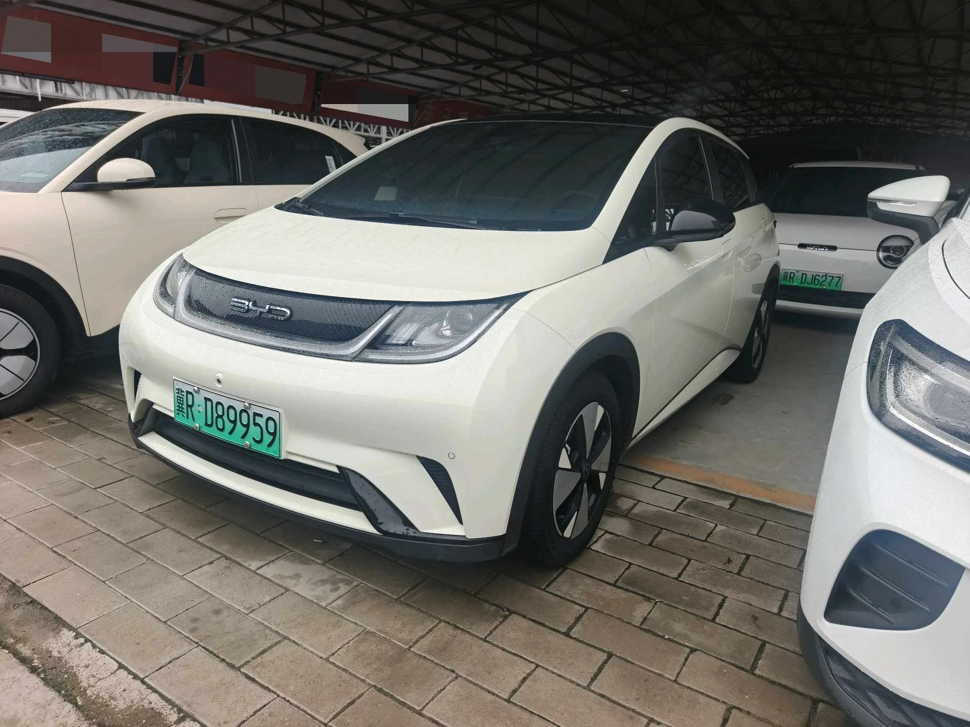 BYD 2023 Dolphin 420km Fashion Edition Automatic