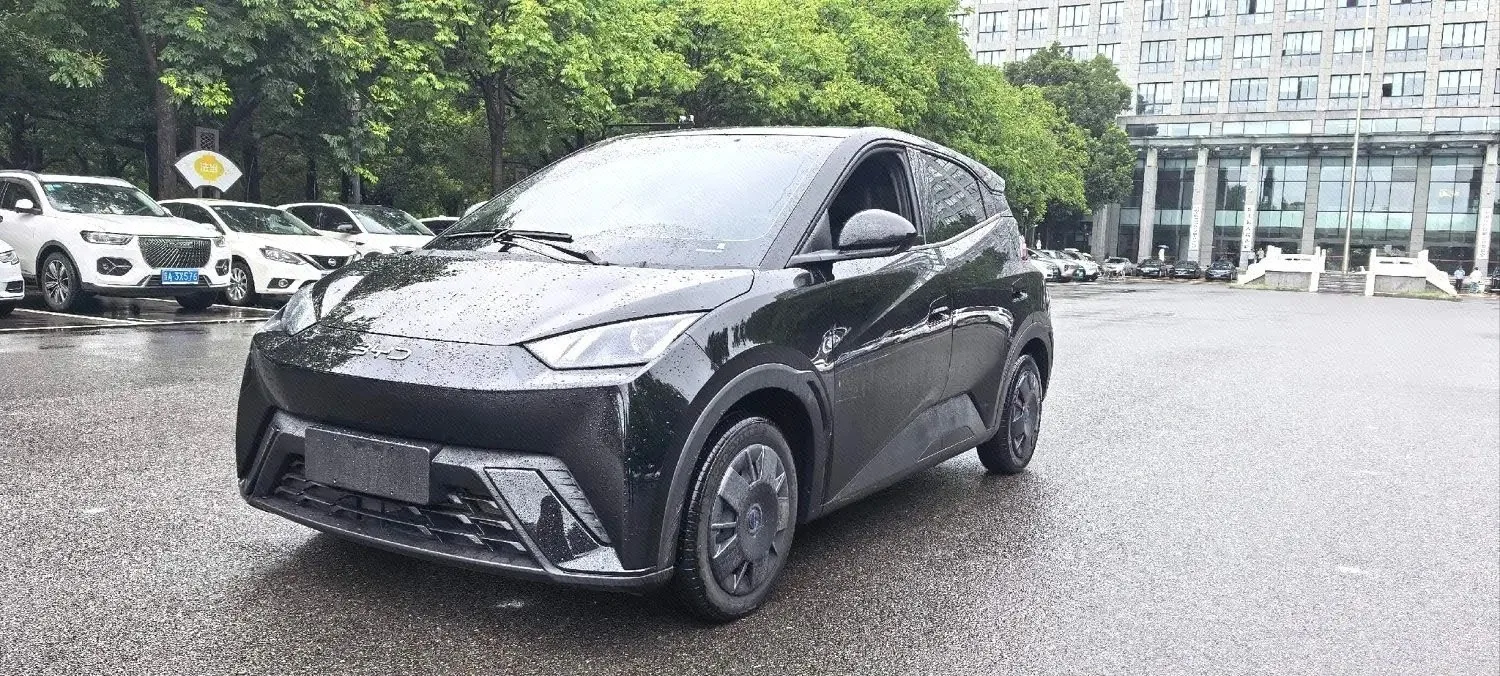 BYD 2025 Seagull 305km/h Vitality Edition Automatic
