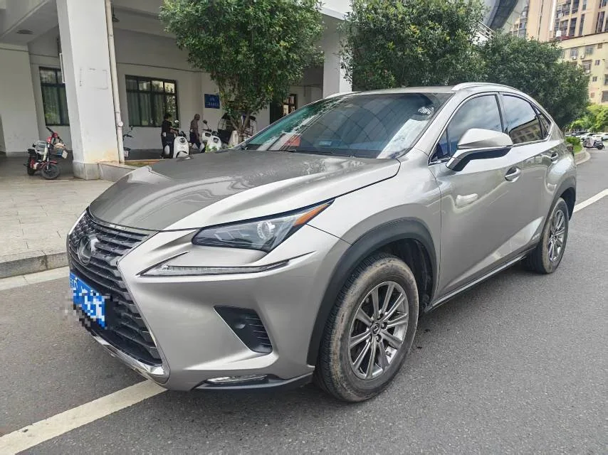 2018 Lexus NX 300h FWD Sport Edition, China V Emission Standard