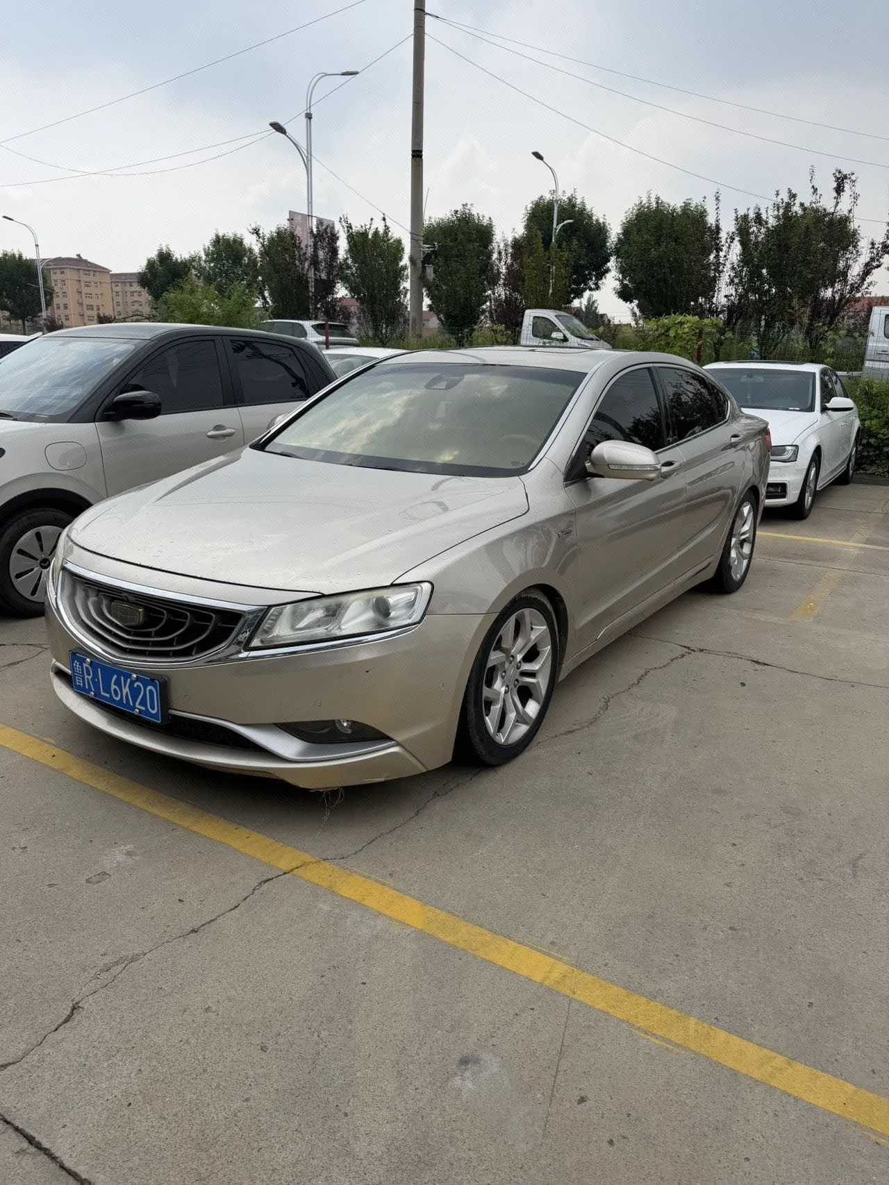 Borui 2015 Model Year Concierge Limited Edition 1.8T Collector's Edition