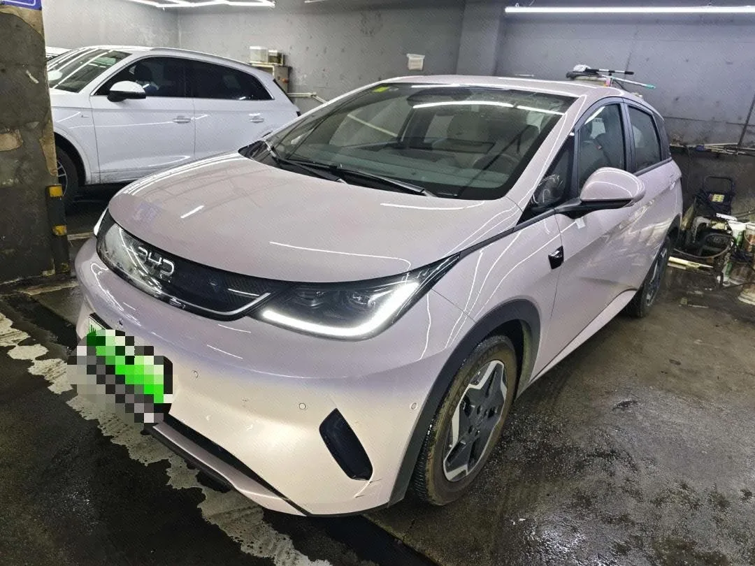BYD 2025 Dolphin Smart Driving Edition 420km Freedom Edition Automatic Transmission