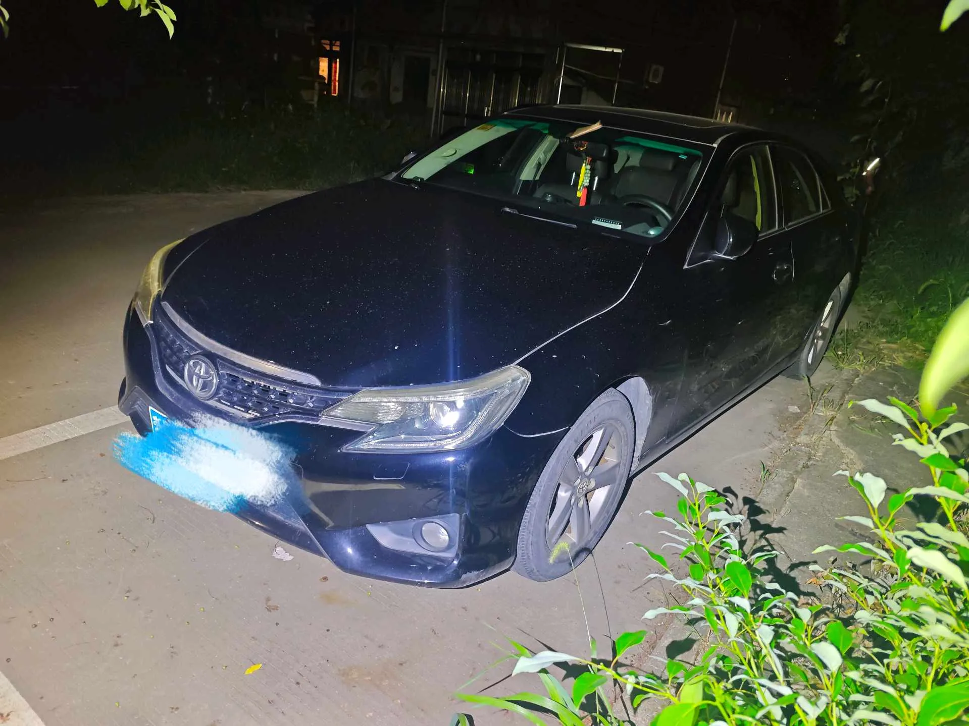 Reiz 2013 2.5V Elite Edition