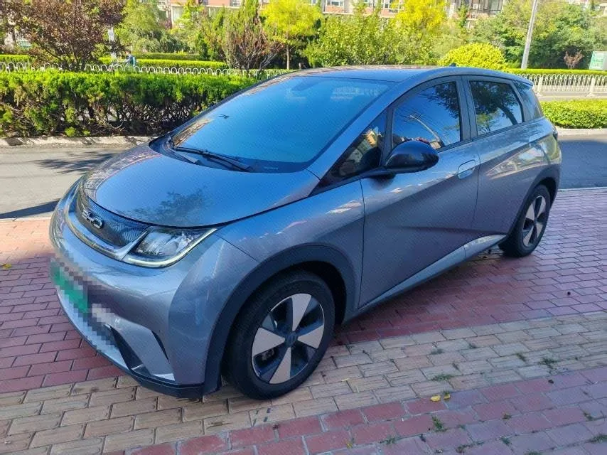 BYD 2023 Dolphin 420km Freedom Edition Automatic