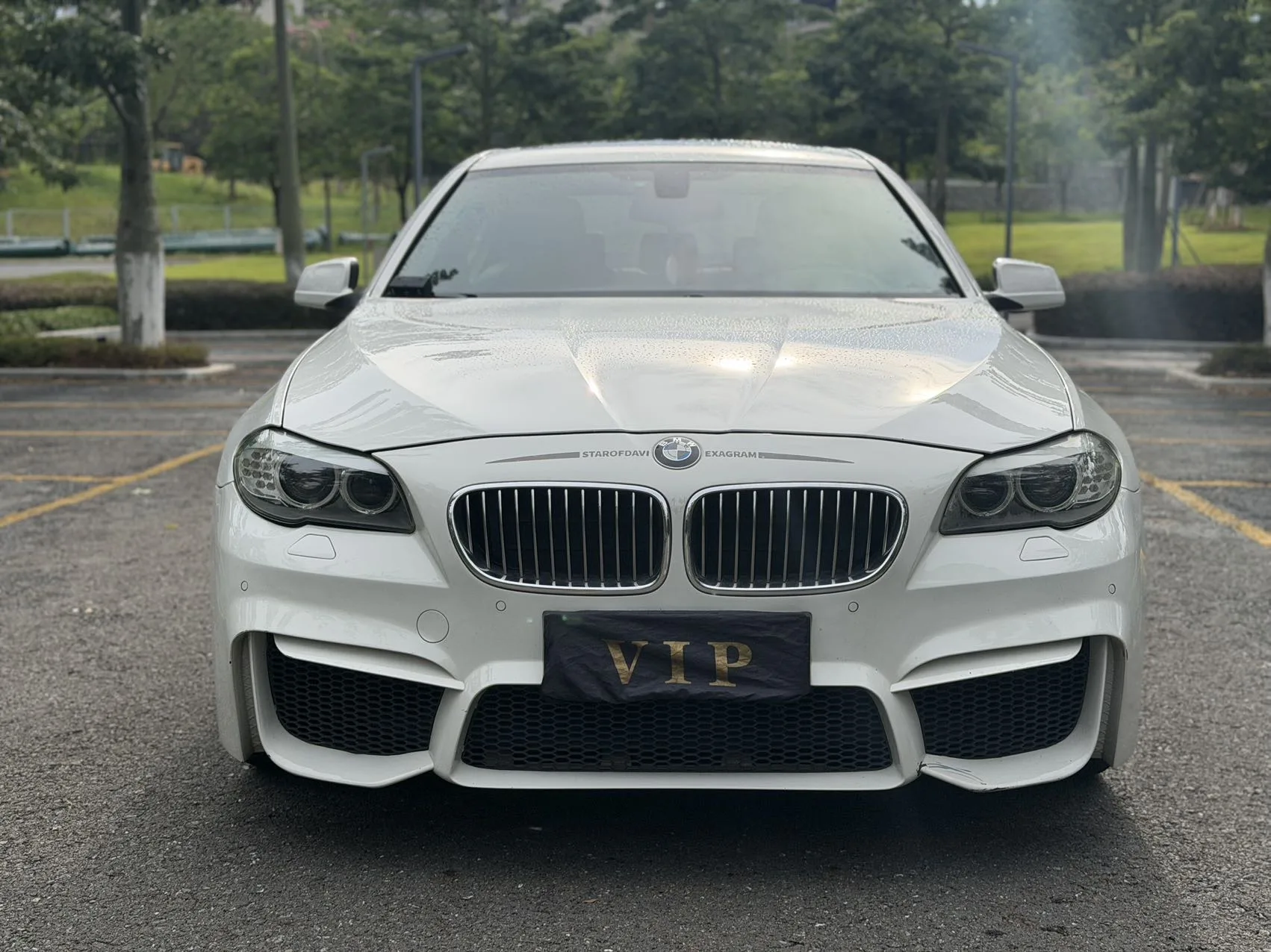 2013 BMW 5 Series 525Li Excellence Edition