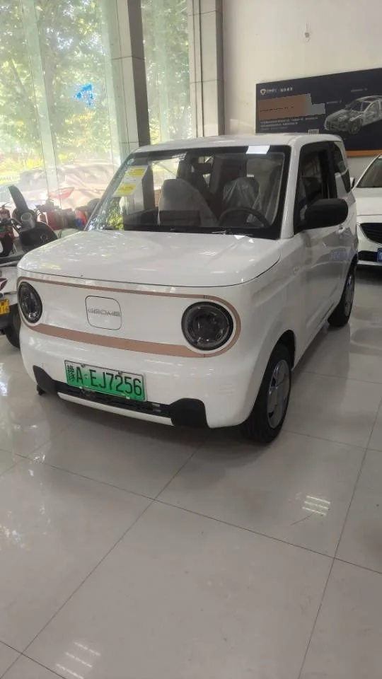 Panda 2024 Panda Mini 200km Endurance Bear