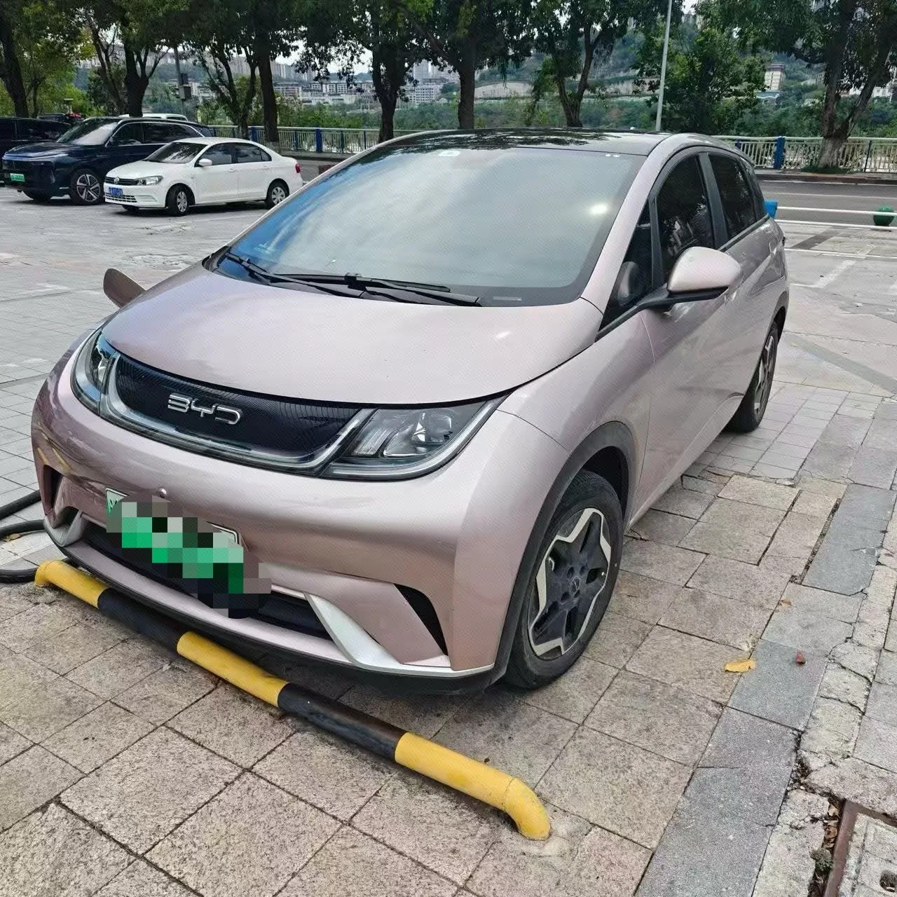 Dolphin 2021 405km Fashion Edition