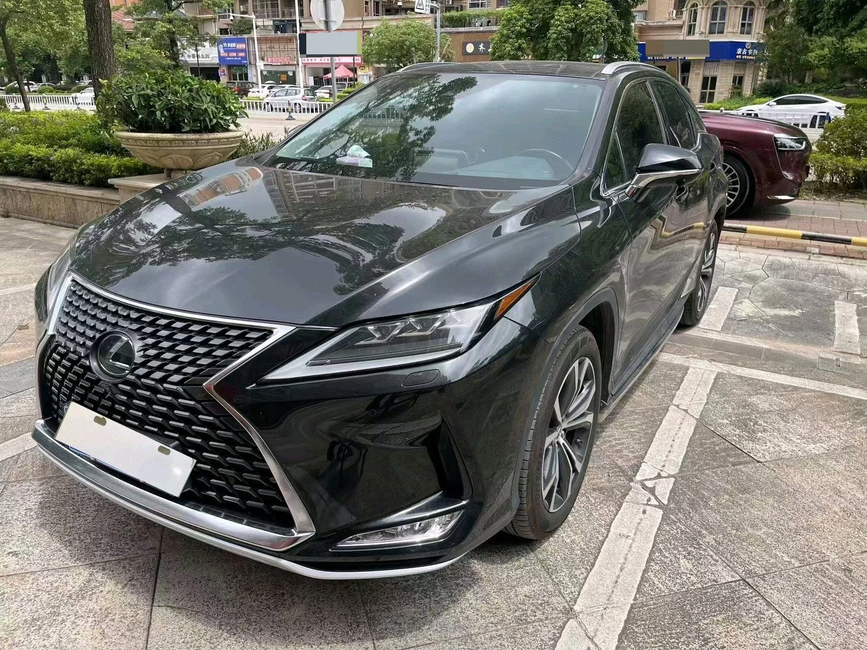 Lexus RX 2020 300 AWD Elegant Edition (China V Emission Standard)