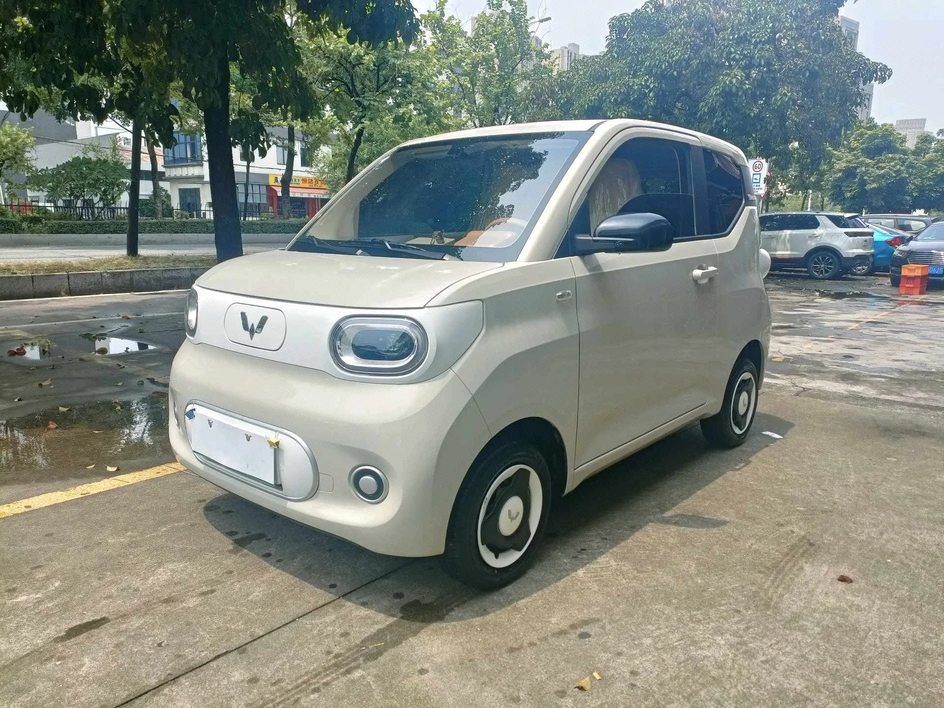Wuling 2024 Hongguang MINI EV 215km Youth Edition Automatic