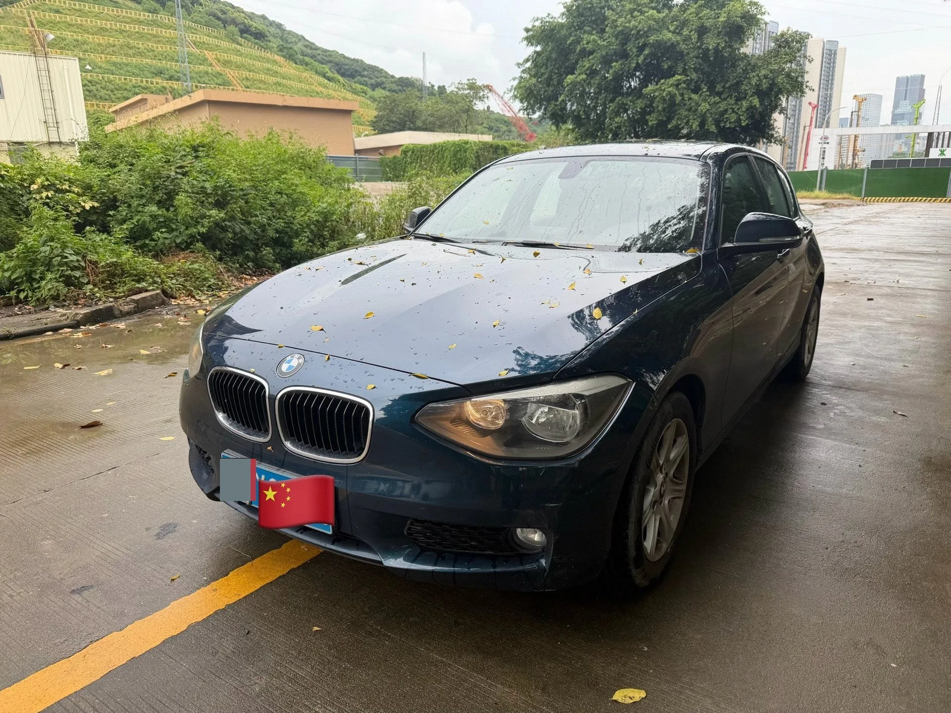 BMW 1 Series (Imported) 2013 Facelift 116i Leading Edition