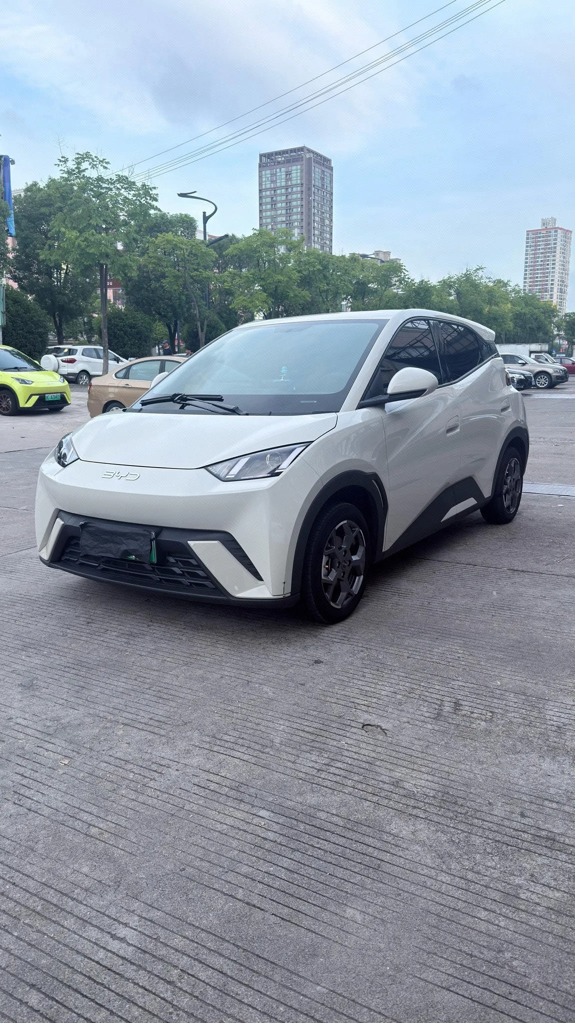 BYD 2024 Seagull Glory Edition 305km/h Vitality Edition Automatic