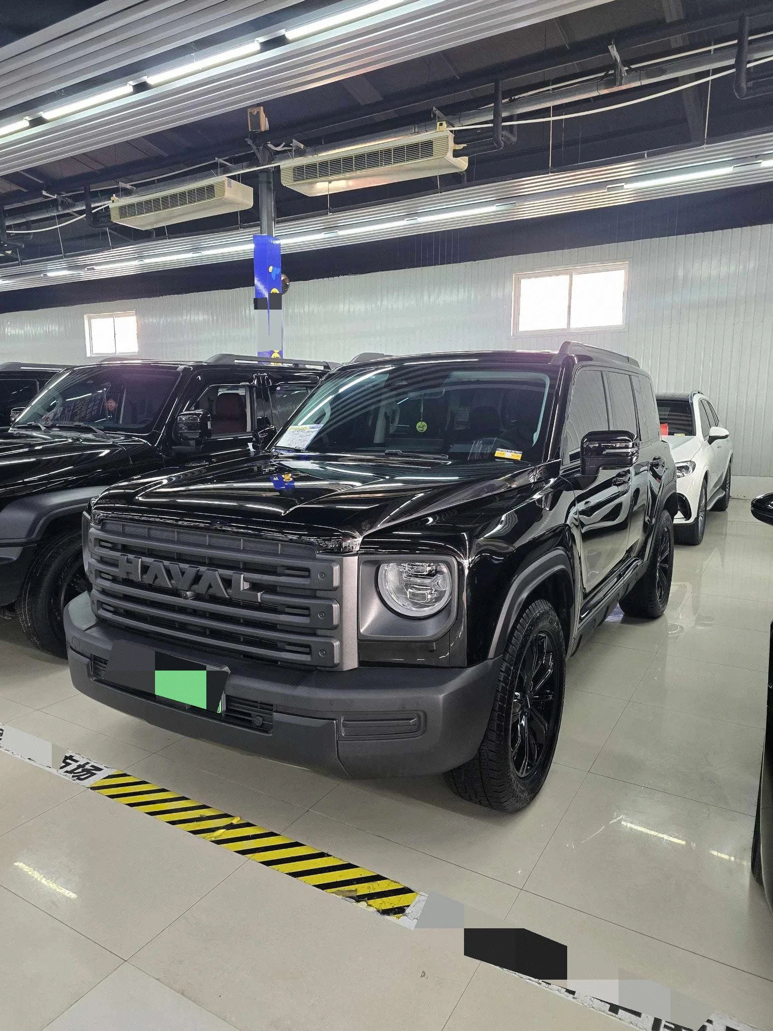 Haval Mongol 2024 Hi4 102 Pro