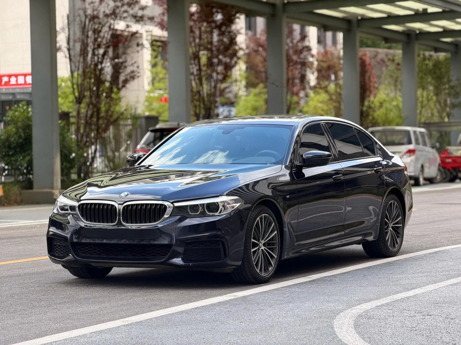 2019 BMW 5 Series 530Li Leading Edition M Sport Package