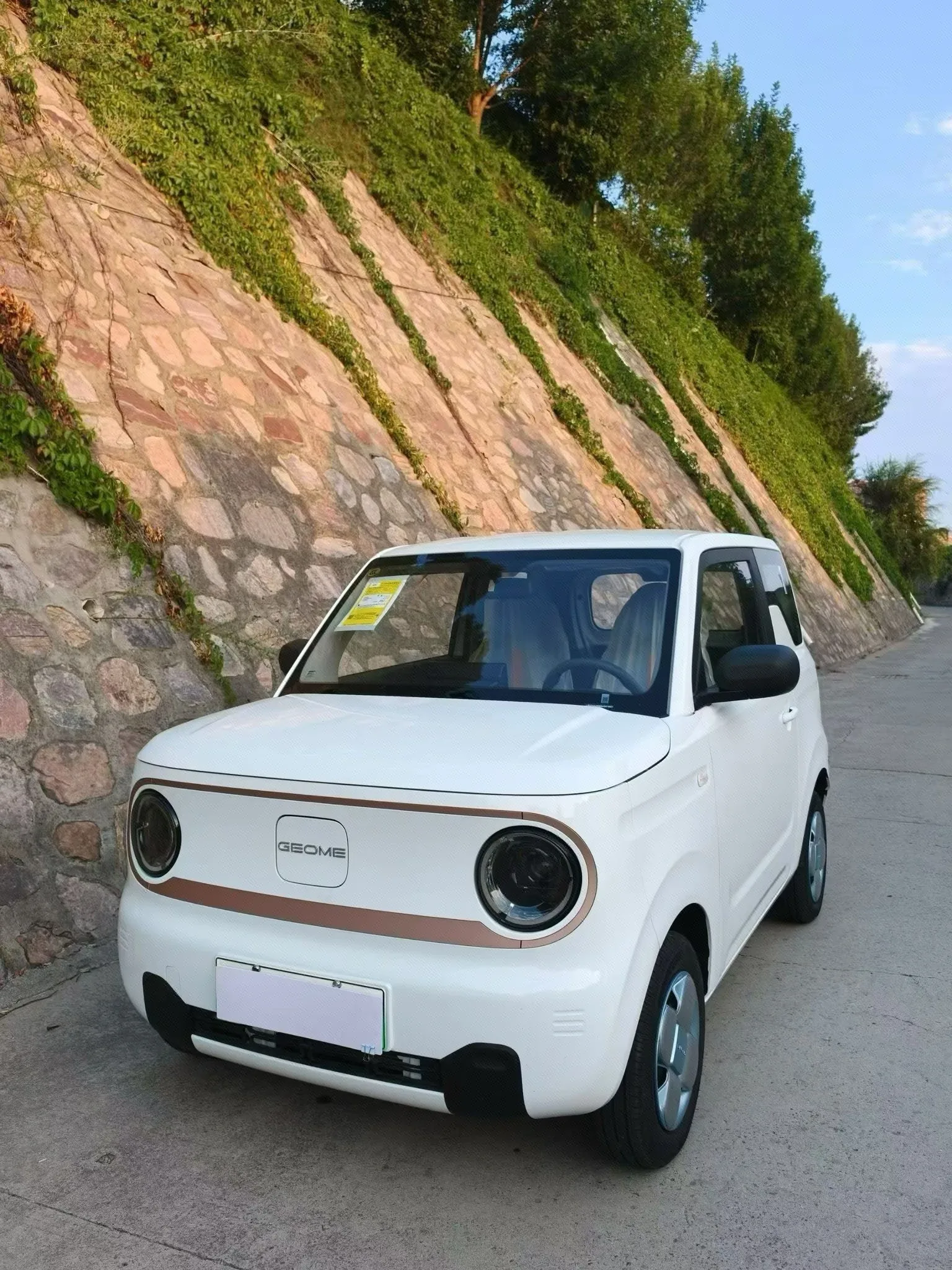 Panda 2024 Panda Mini 200km Endurance Bear