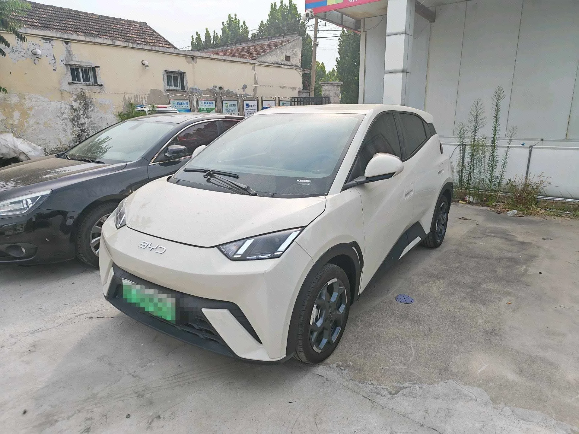 BYD 2025 Seagull 305km/h Freedom Edition Automatic