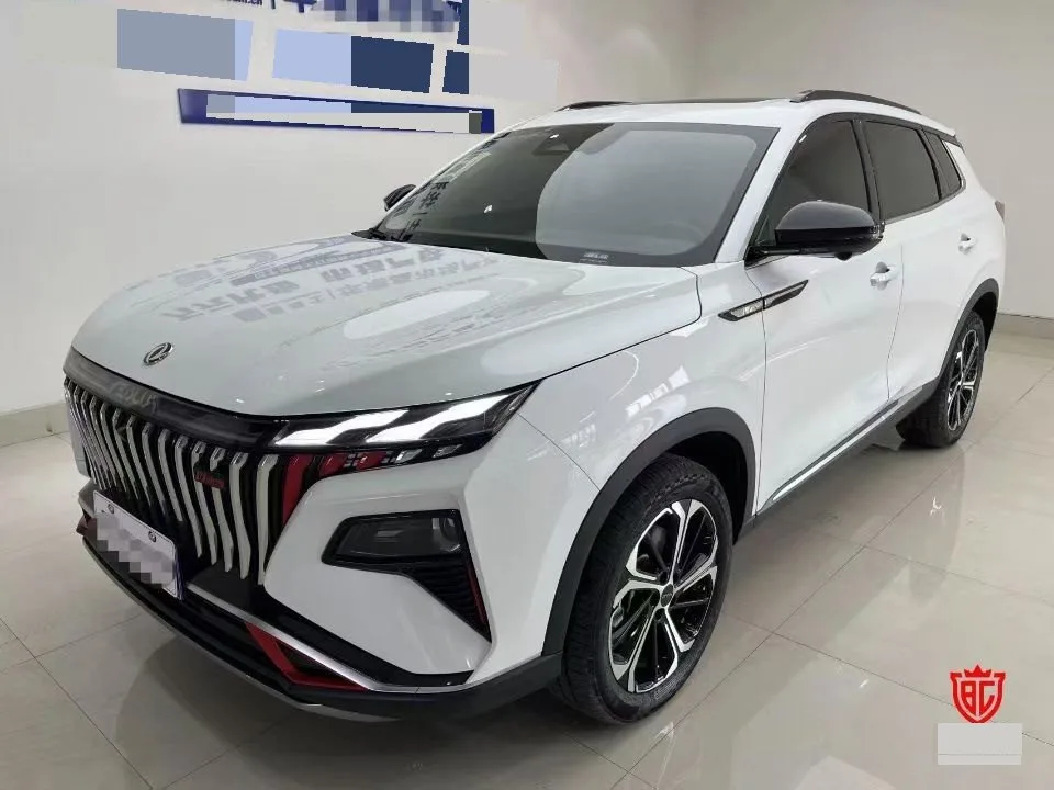 Dongfeng Haoji 2024 1.5T Mach Luxury Automatic