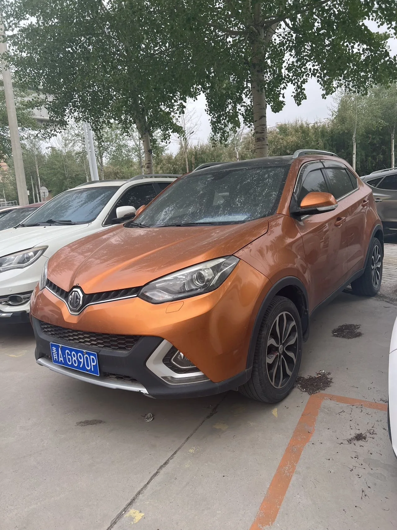 Ruiteng 2015 Model Year 2.0TGI TST AWD Flagship Edition