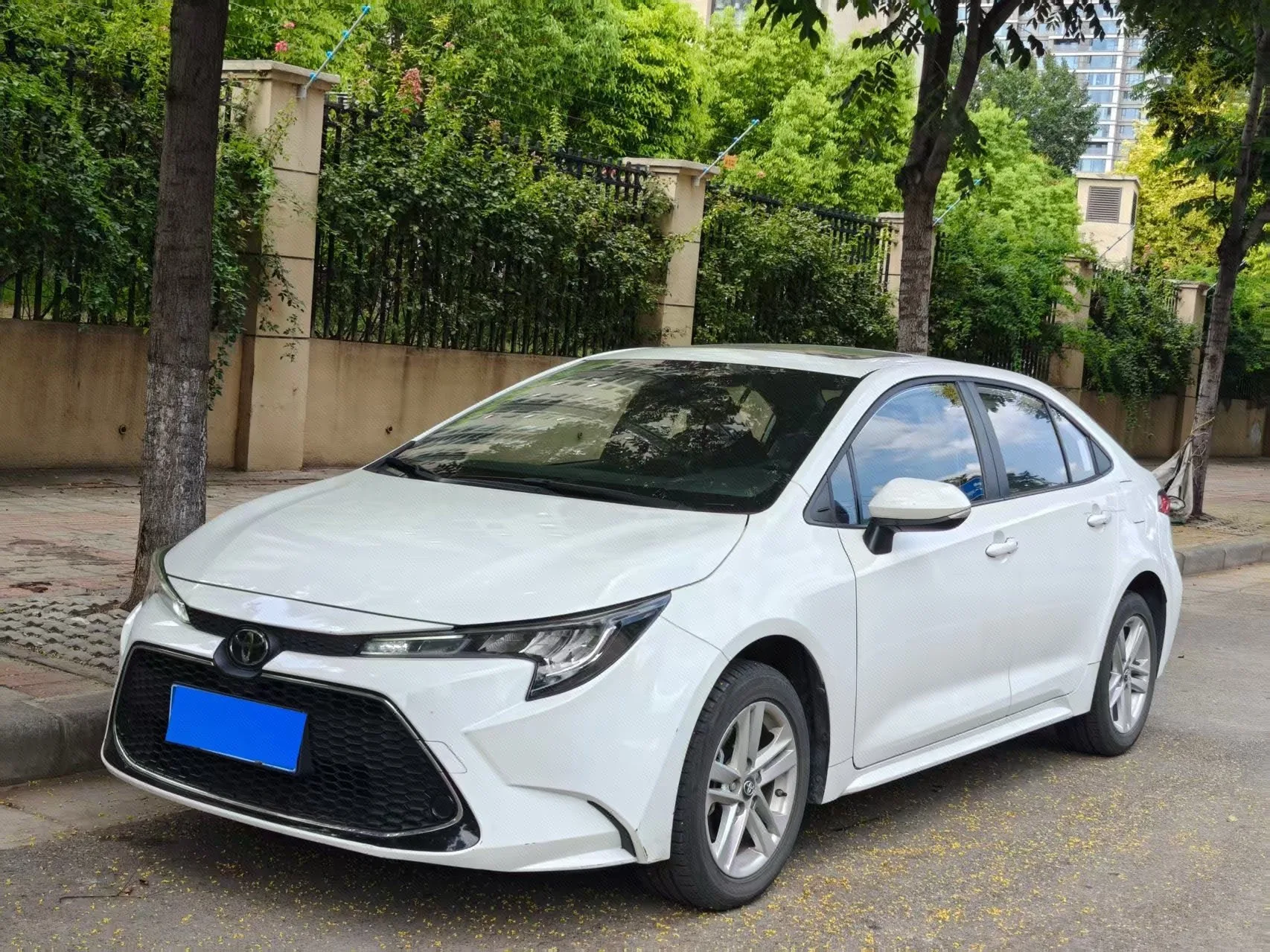 Levin 2022 185T CVT Luxury Edition