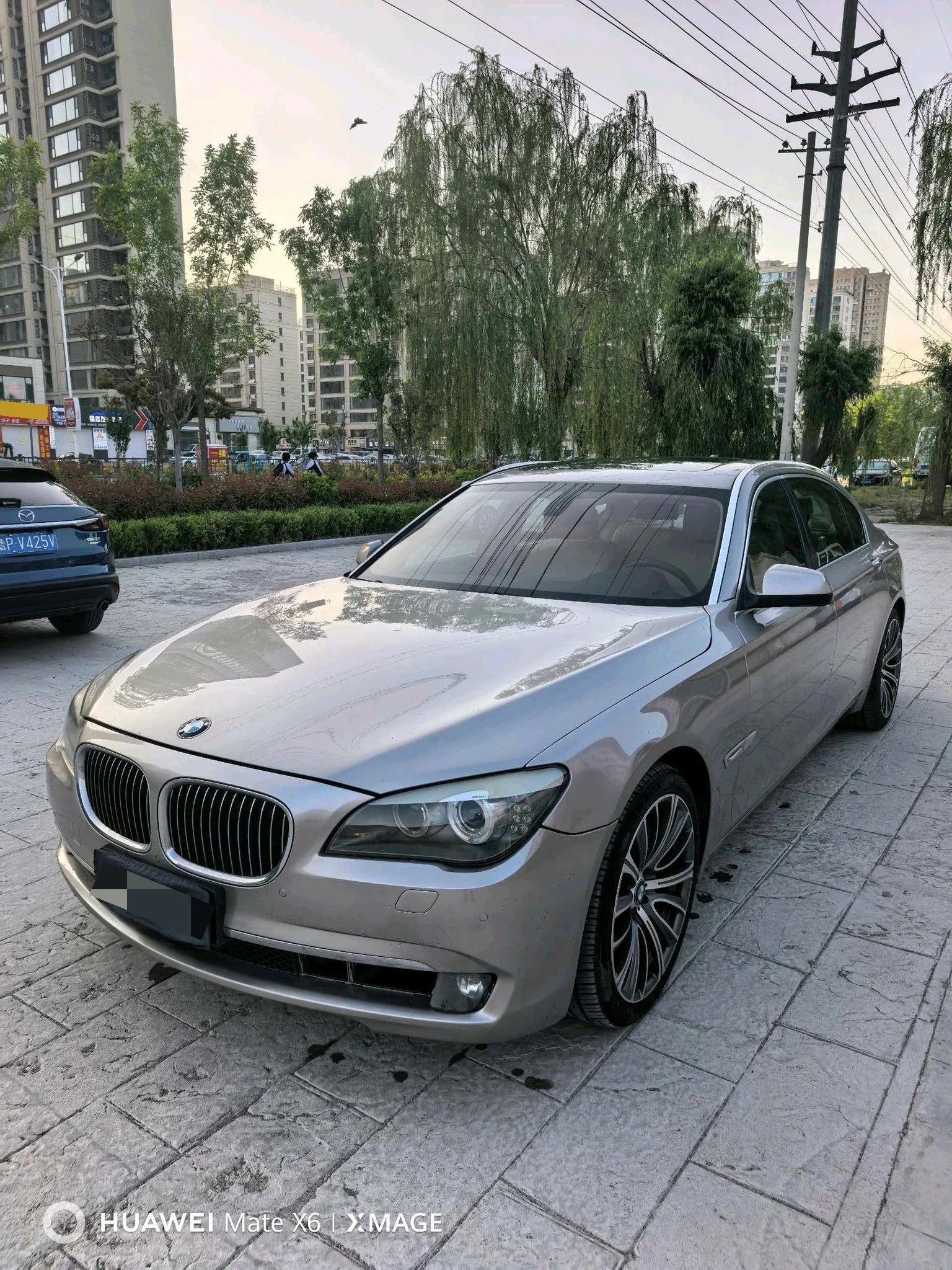 2011 BMW 7 Series 730Li Elegance
