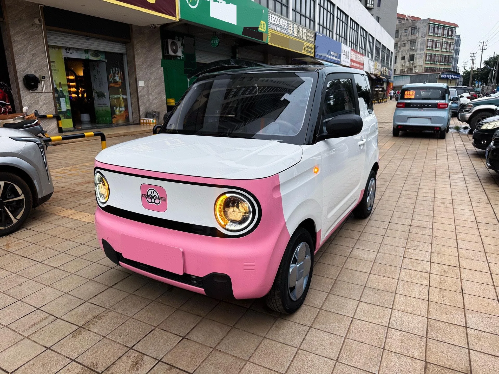 Panda 2023 Panda Mini 200km Endurance Bear