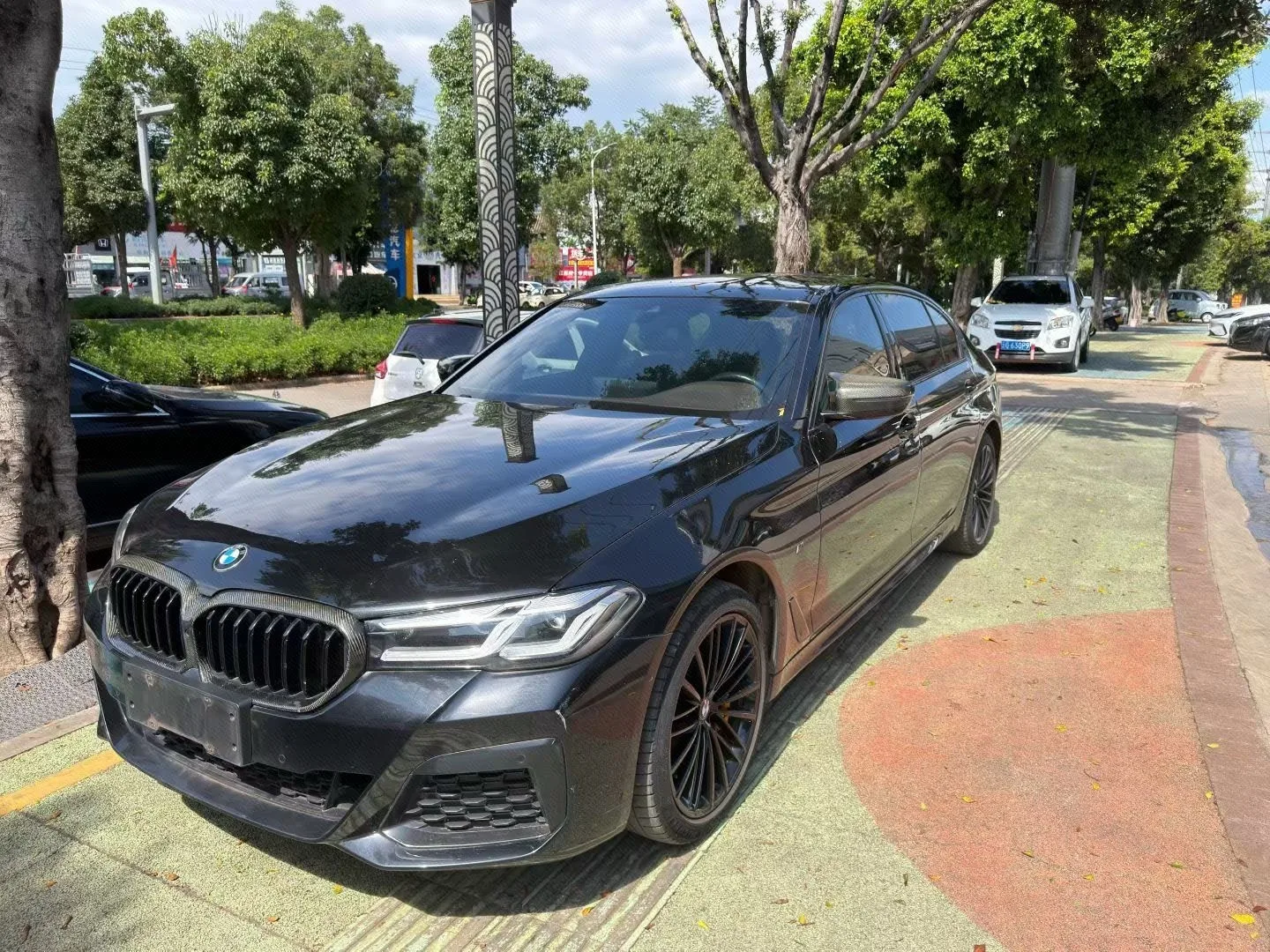 2021 BMW 5 Series 530Li Leading Edition M Sport Package