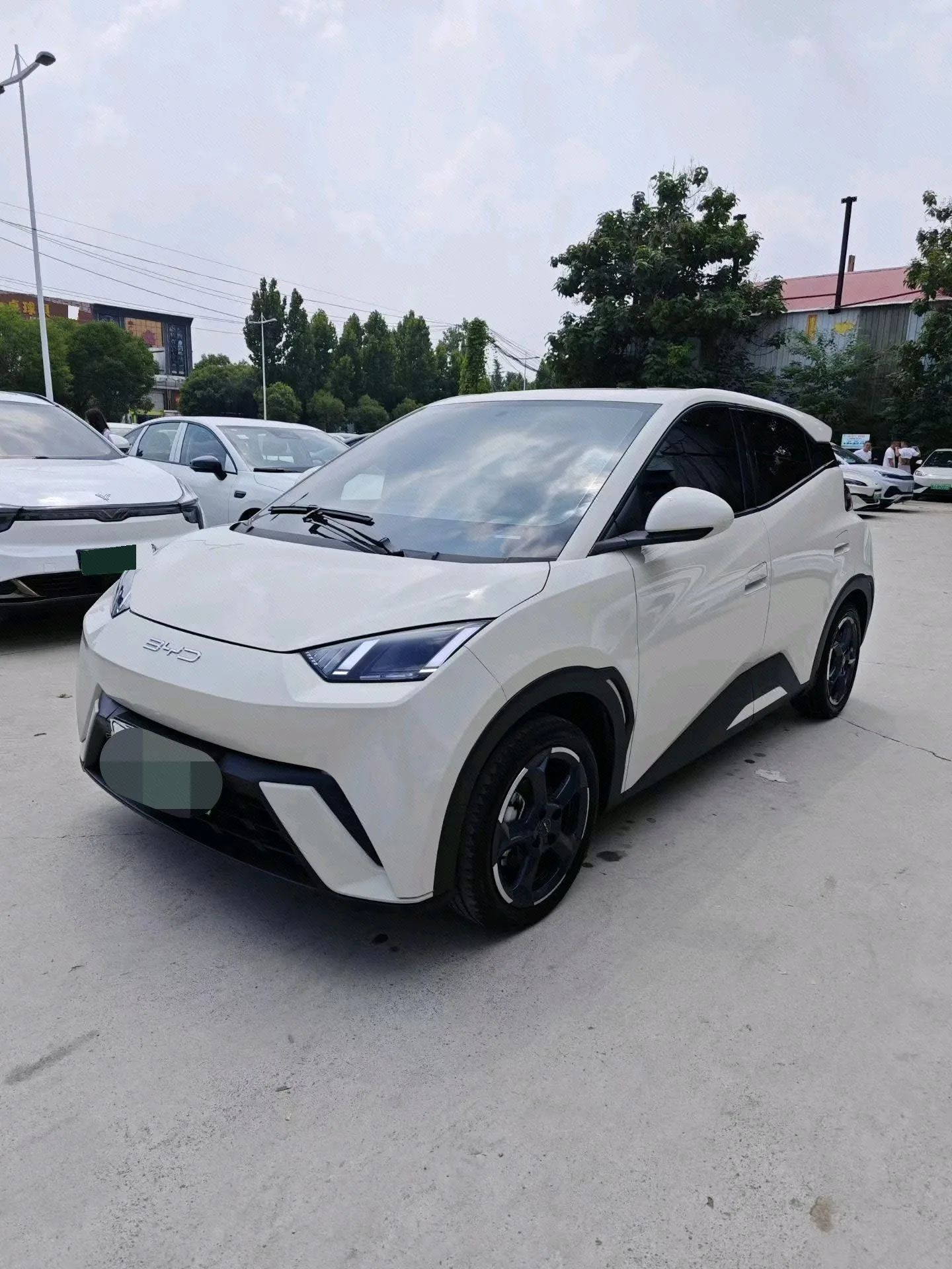 BYD 2023 Seagull Freedom Edition Automatic