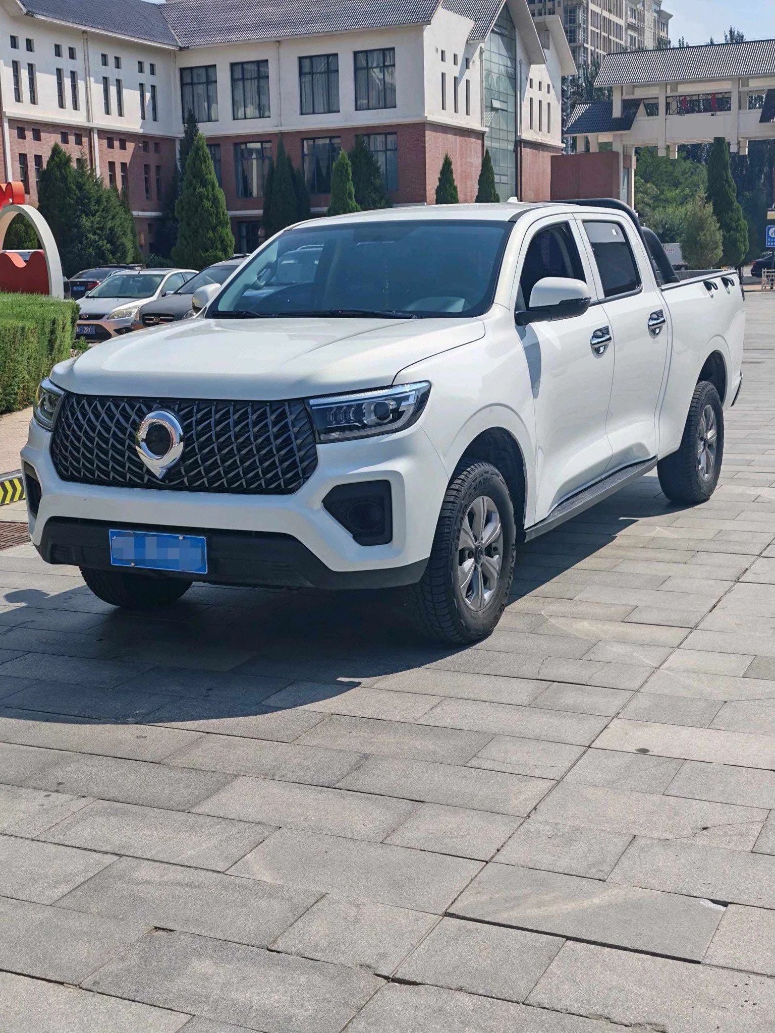 Great Wall 2025 Pao 2.0T Commercial Pao Diesel 4WD Cold-Weather Edition, Automatic Transmission