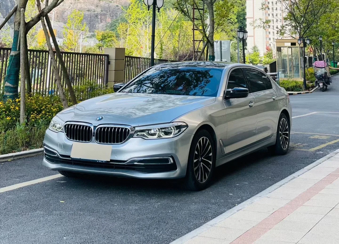 BMW 5 Series 2020 530Li Leading Luxury Package