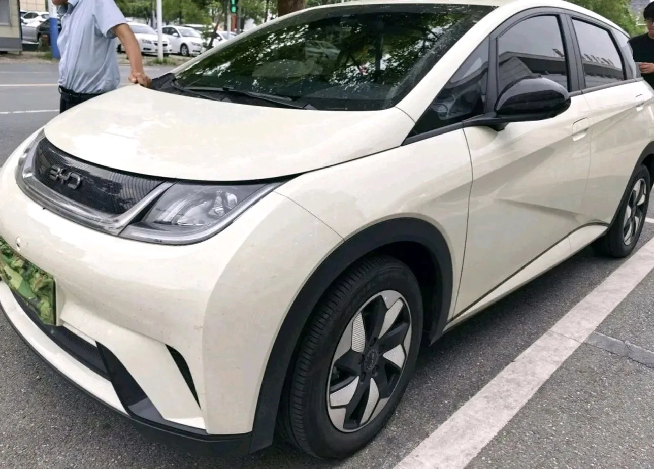 BYD 2024 Dolphin Glory Edition 420km Freedom Edition Automatic Transmission