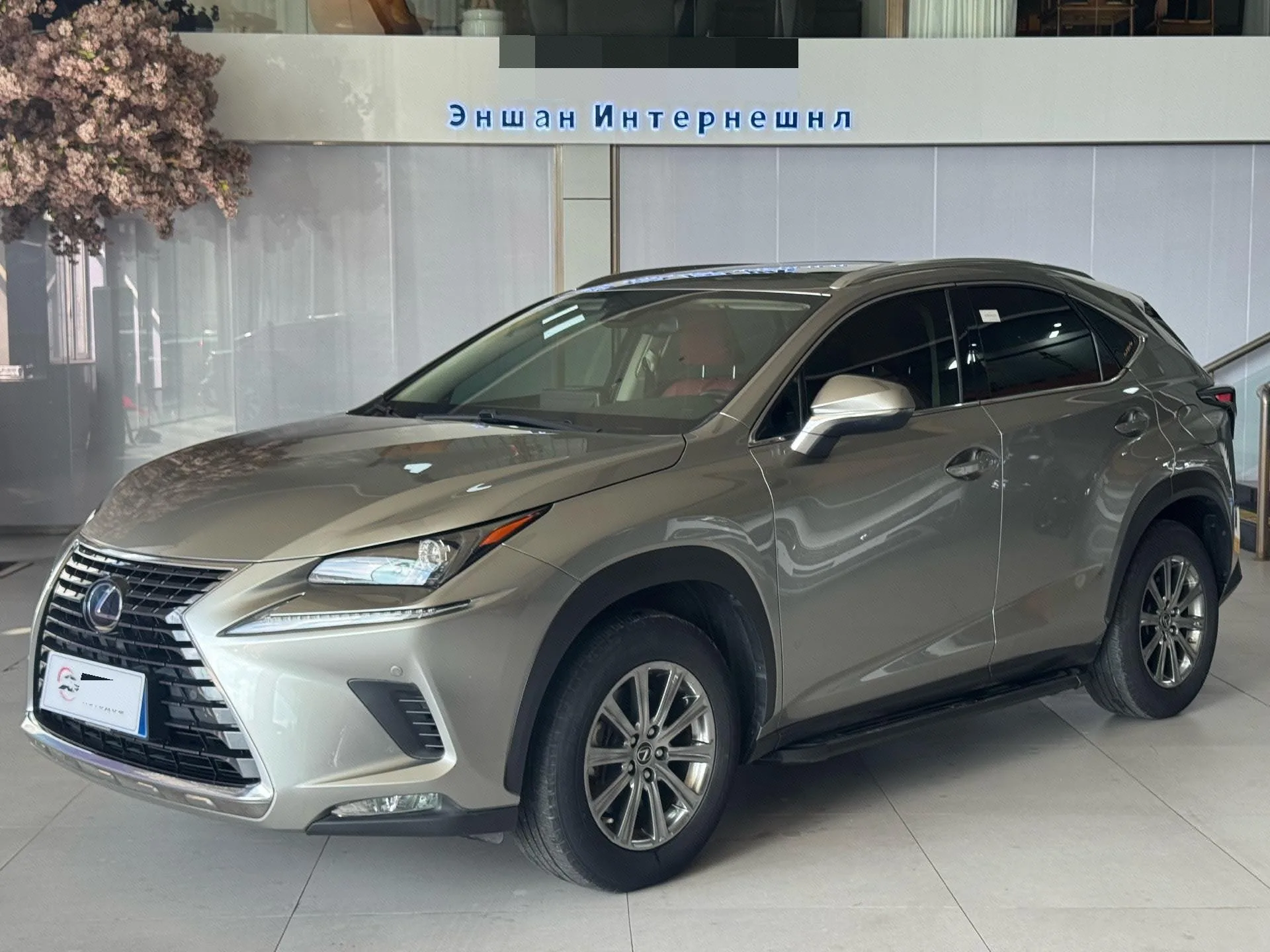 2020 Lexus NX 200 FWD Fengyi Edition, China VI