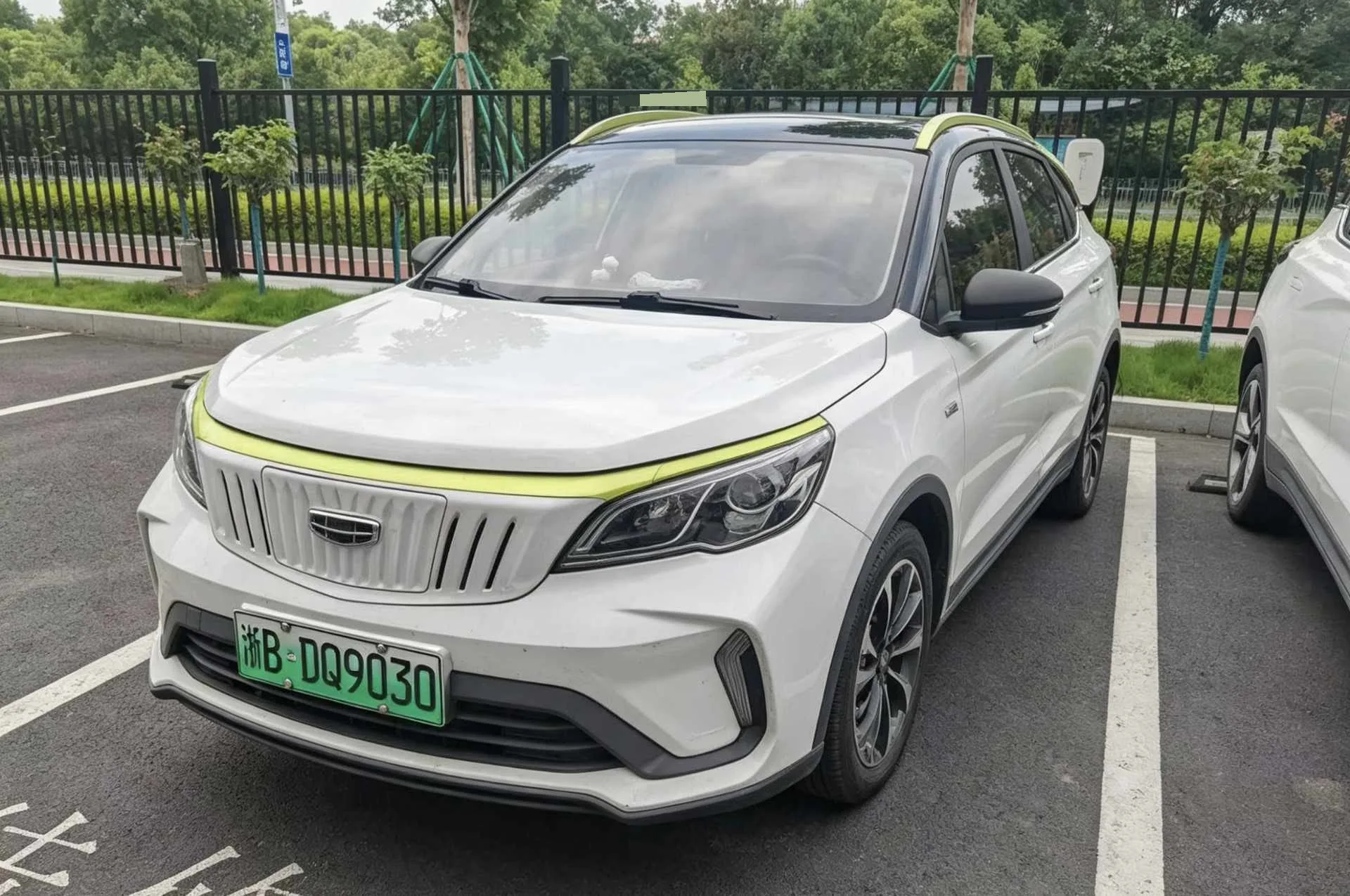EX3 Kung Fu Bull 2021 Model