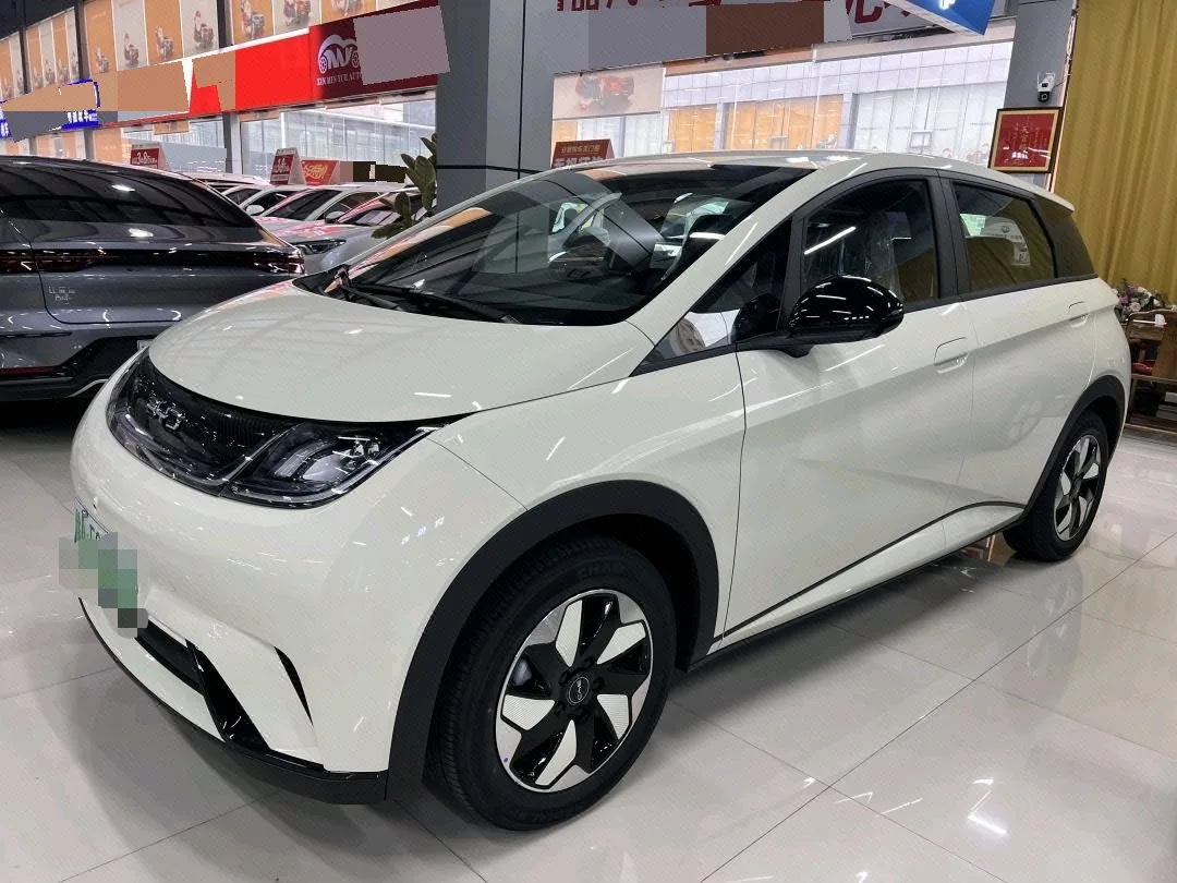 BYD 2025 Dolphin Smart Driving Edition 420km Freedom Edition Automatic Transmission