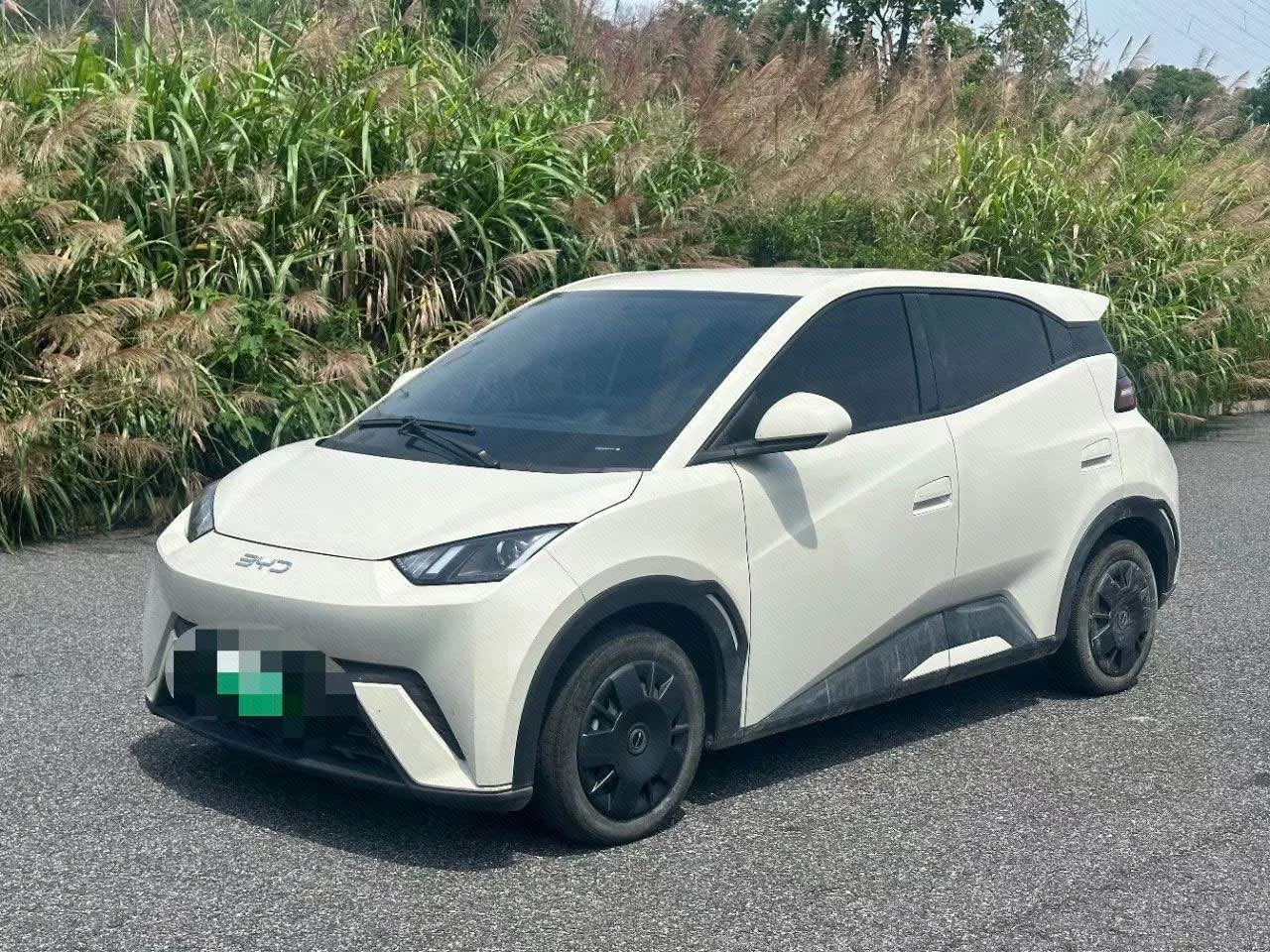 BYD 2023 Seagull Flying Edition Automatic