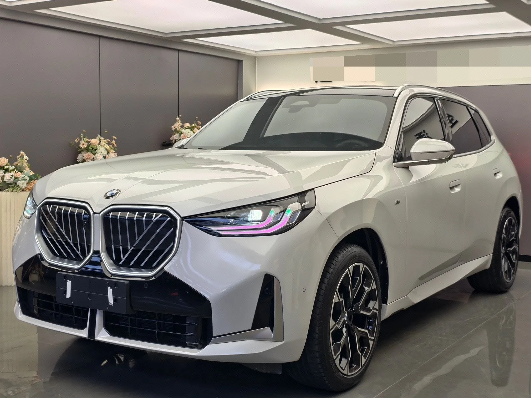 2026 BMW X3 xDrive30L 2.0T Leading Edition M Sport Shadow Edition Automatic