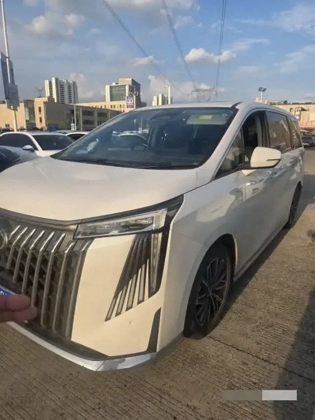 Trumpchi M8 2024 2.0TGDI High-Spec Version