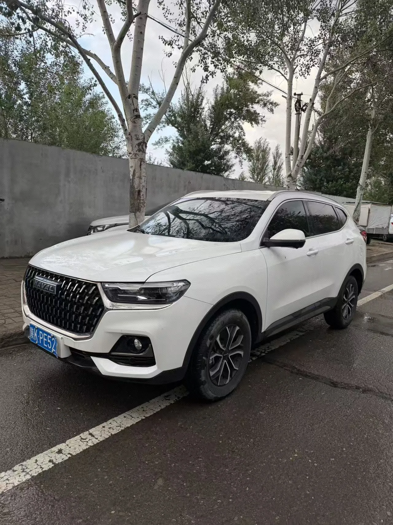 Haval 2023 H6 1.5T National Trend Edition Urban Edition Automatic