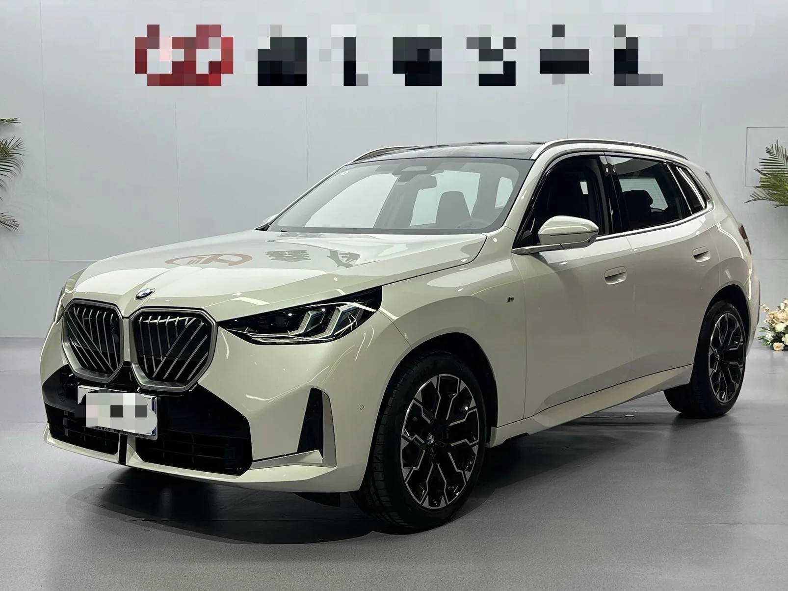 2025 BMW X3 xDrive30L 2.0T Luxury M Sport Shadow Edition Automatic