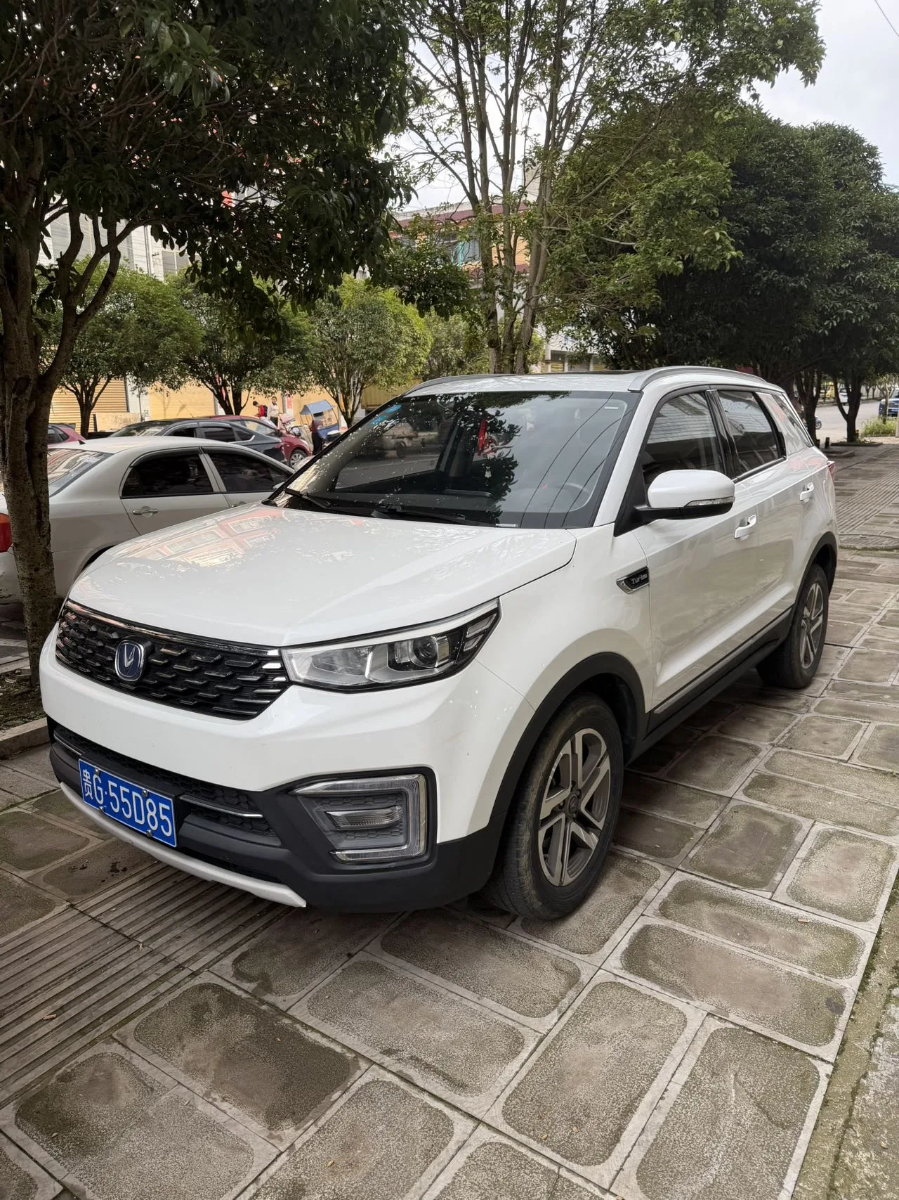 Changan CS55 2019 Model Year 1.5T Automatic "Xuanse" Edition, National VI
